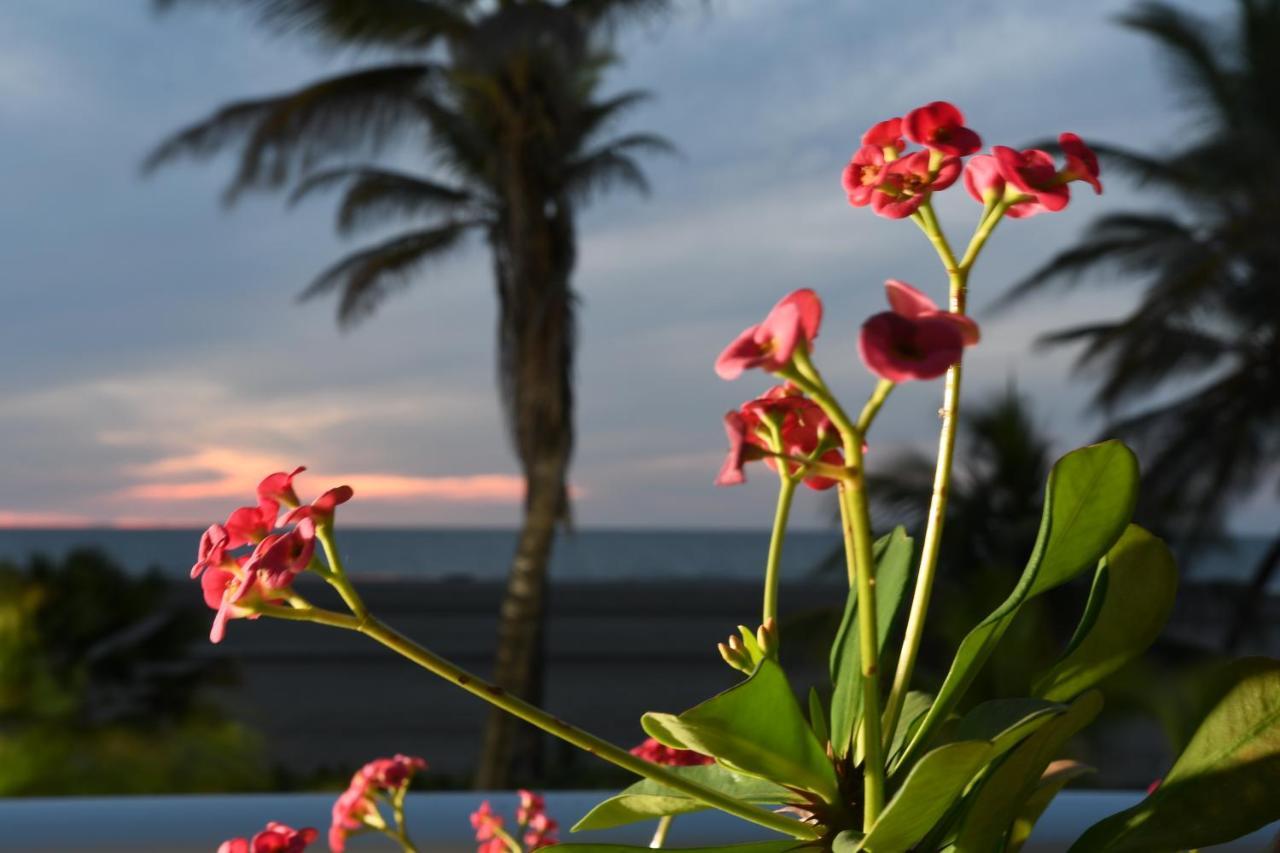 Hermoso Apartamento Con Todas Las Comodidades Acceso Directo A La Playa Morros Epic Sector La Boquilla Cumple Protocolos De Bioseguridad Kartagena Zewnętrze zdjęcie